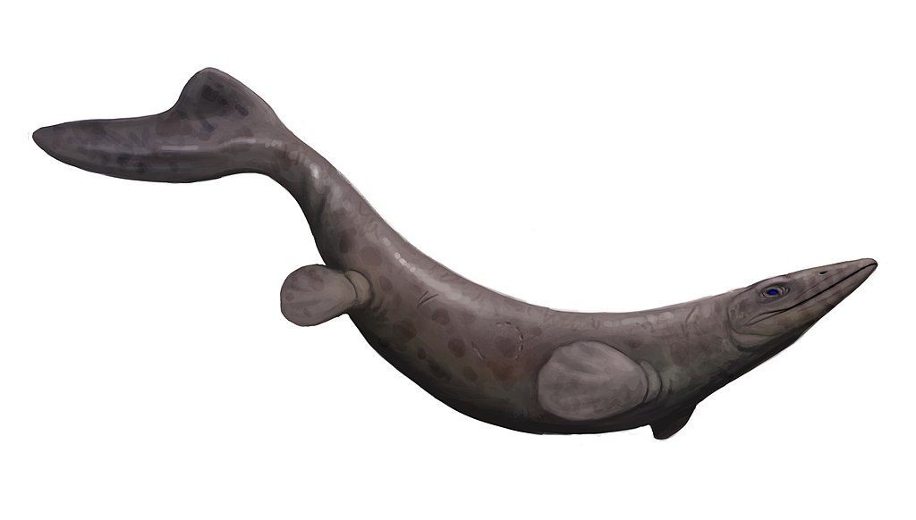 Kourisodon puntledgensis life reconstruction