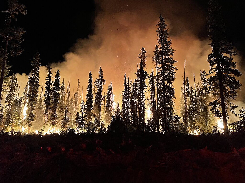 Lick Fire on the Umatilla National Forest burning at night