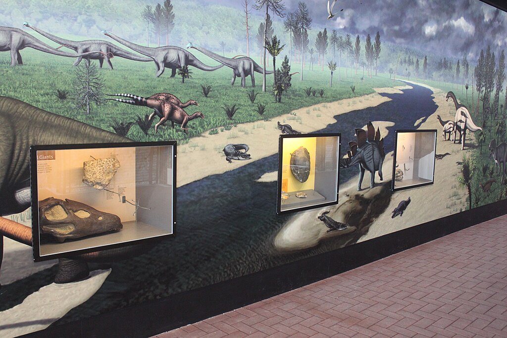 Lower Floor Exhibits - Quarry Exhibit Hall 