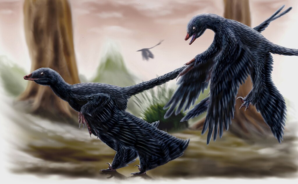 A pair of the microraptorine Microraptor searching the forest of Liaoning in spring.