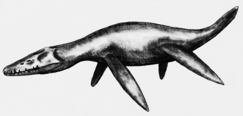 Speculative life restoration of the monster of Aramberri, a giant pliosaur discovered in Mexico.