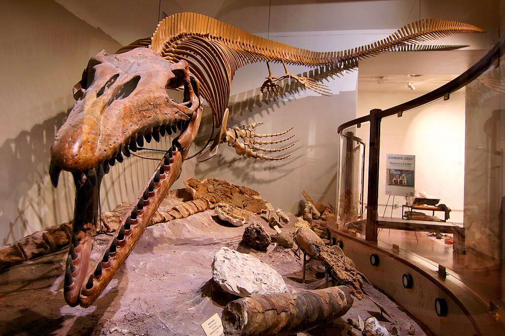 Mosasaur Texas Science and Natural History Museum Austin