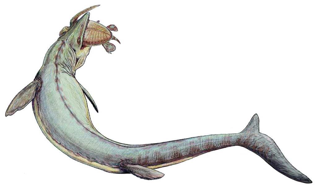 Mosasaurus hoffmanni.