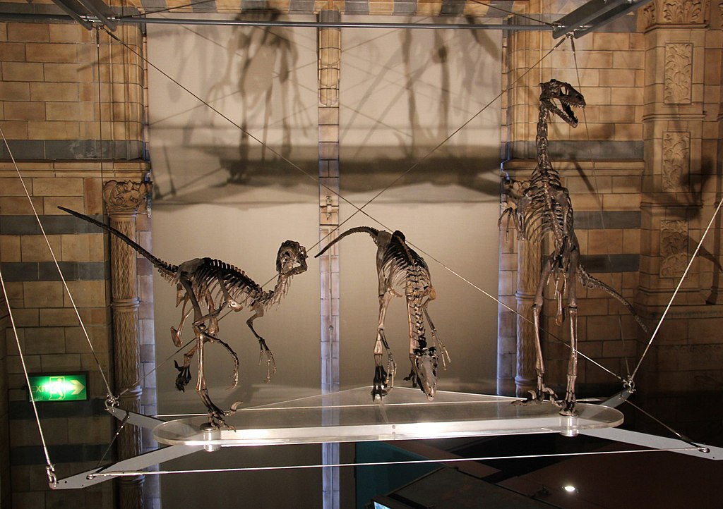 Natural History Museum