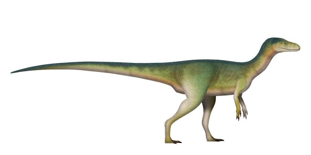 Nyasasaurus