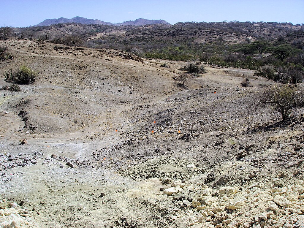 Olduvai Gorge, colored flags mark the sites of fossils