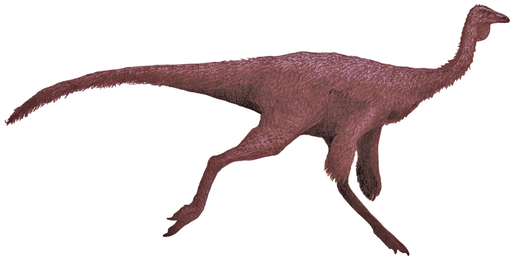 Life reconstruction of "Ornithomimus" sp. based on specimens from the Dinosaur Park Formation
