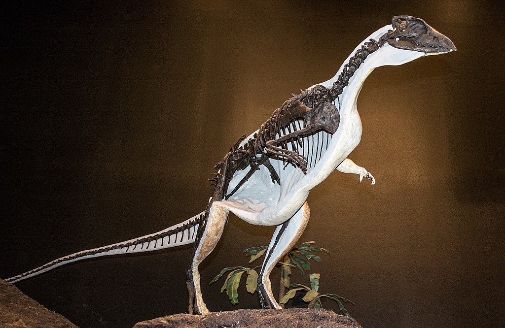 Oryctodromeus cubicularis - Museum of the Rockies