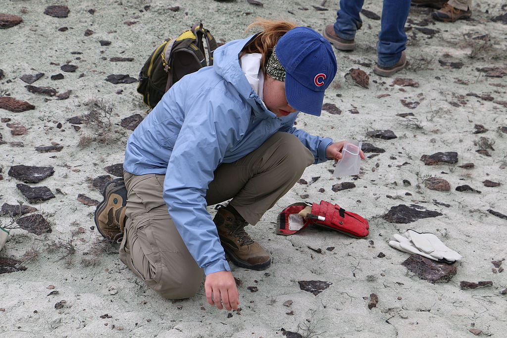 Paleontology in Central Oregon