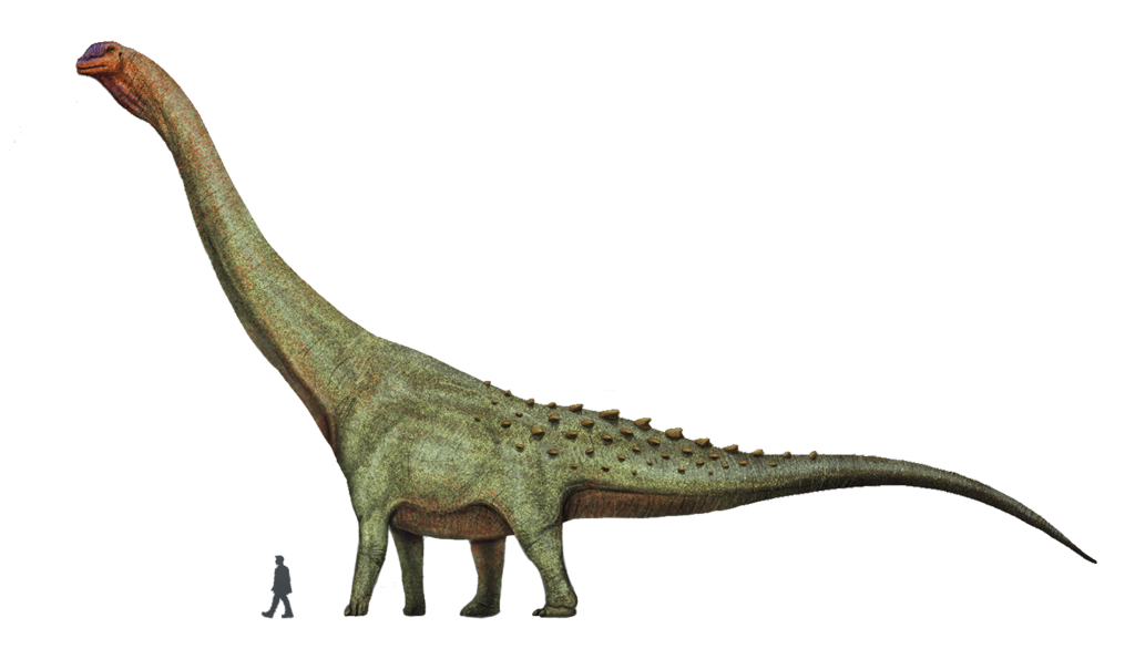 Patagotitan restoration