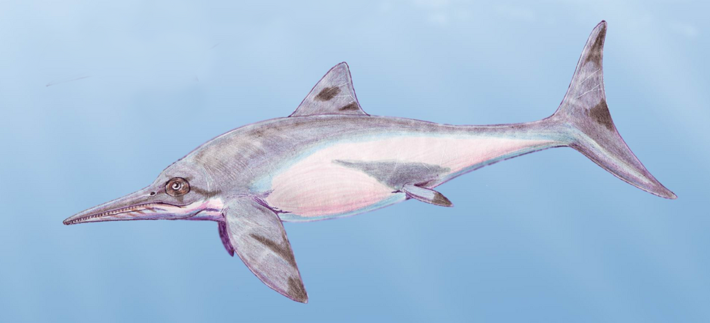 Platypterigius