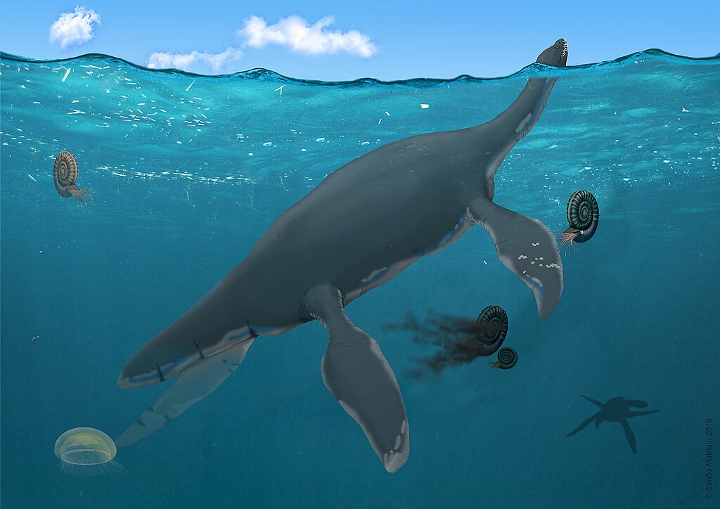 Plesiosaur 