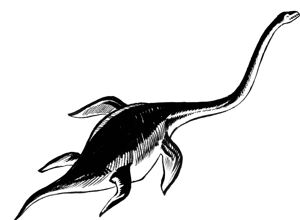 Plesiosaur 