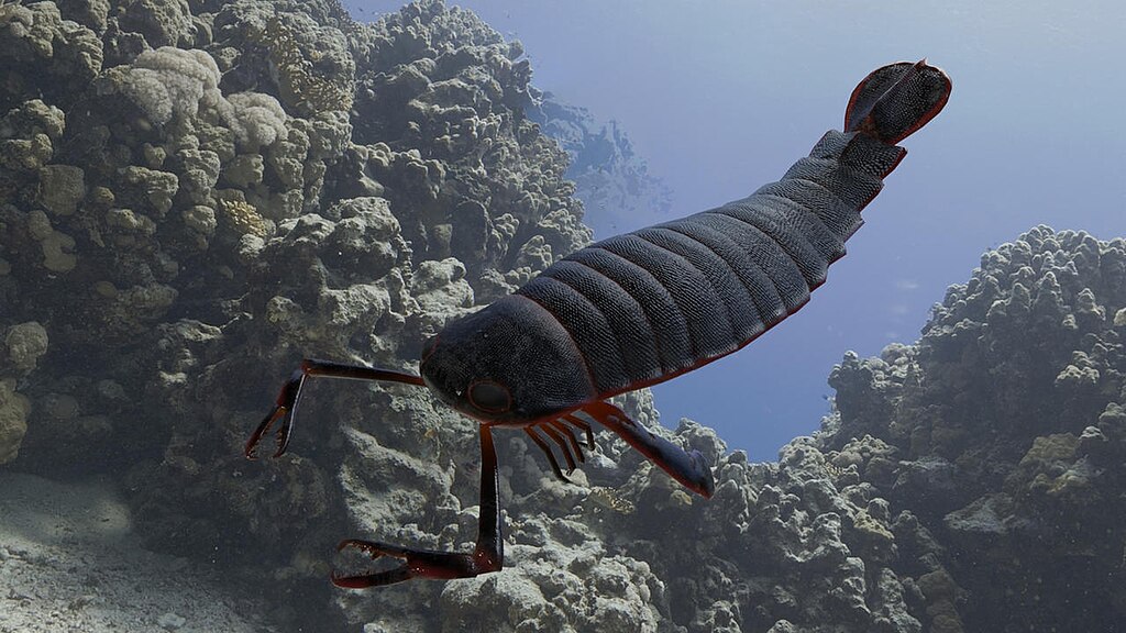 Pterygotus in enviroment