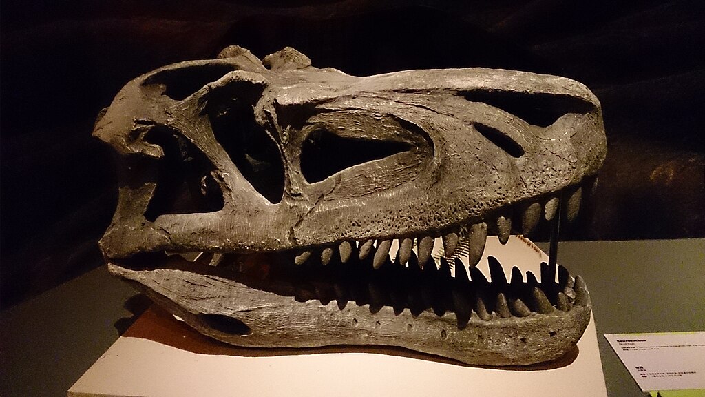 Saurosuchus skull