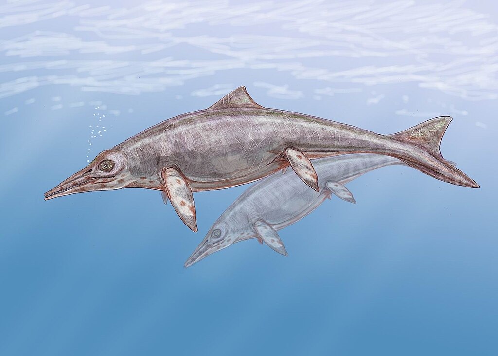 Shastasaurus altispinus, an ichthyosaur