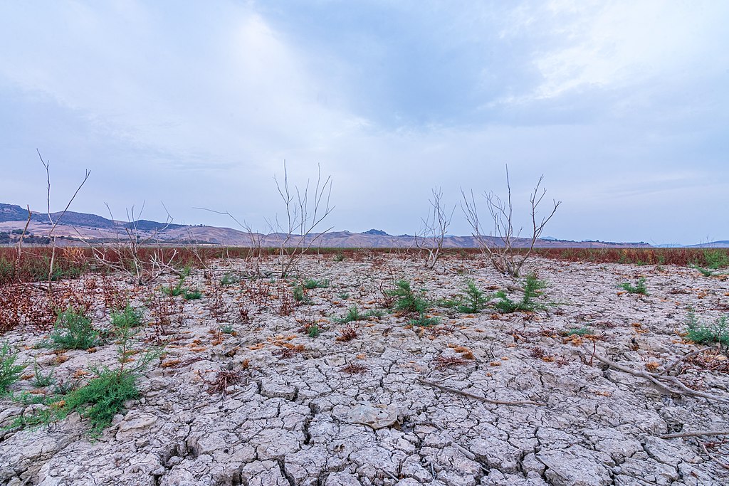 Signs of drought in the largest dam in Morocco