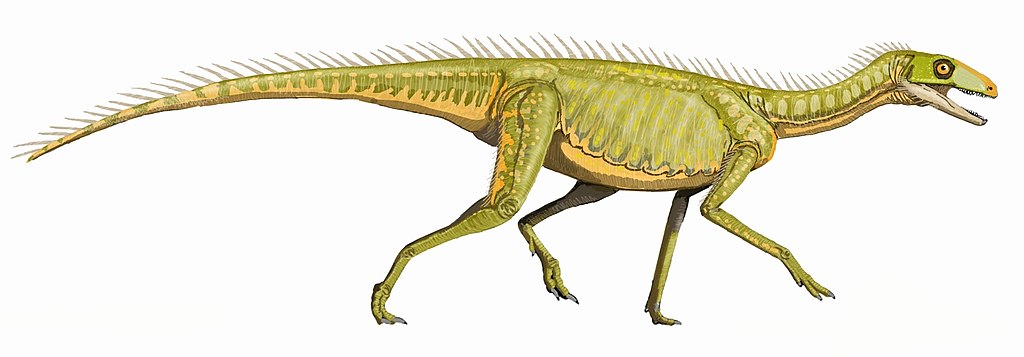 Silesaurus oploensis