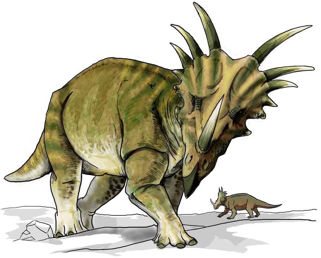 Styracosaurus dinosaur