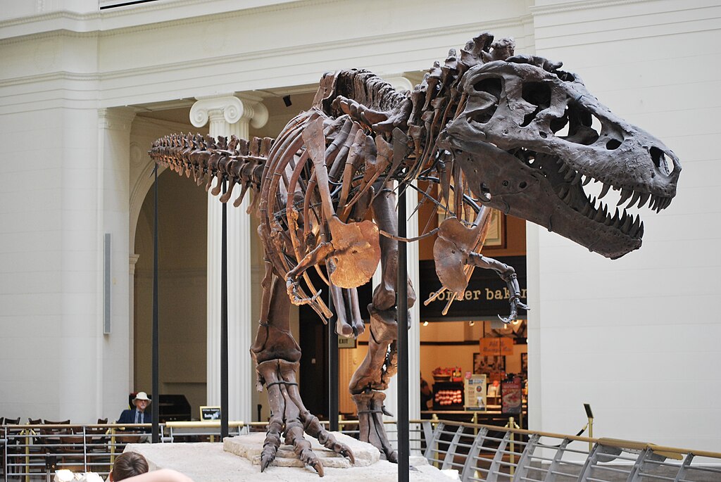 Sue the T-Rex at the Field Museum of Natural History, Chicago, IL