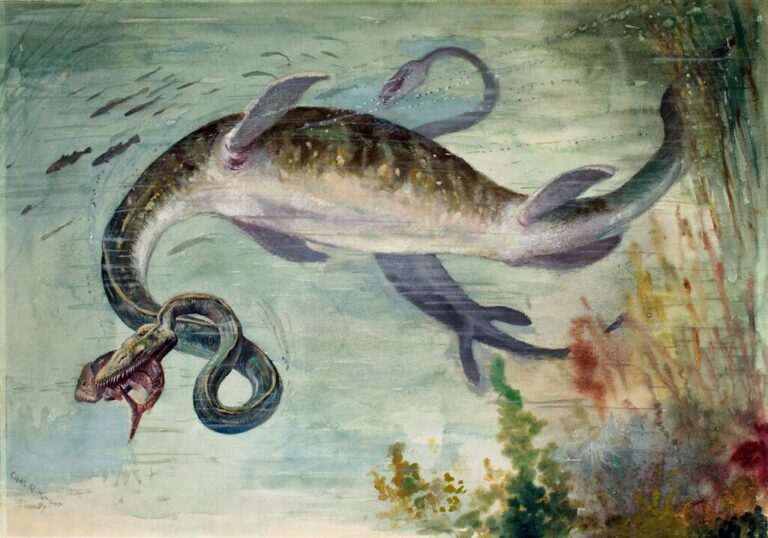 Elasmosaurus: The Long-Necked Wonder of the Ancient Seas – Dino World