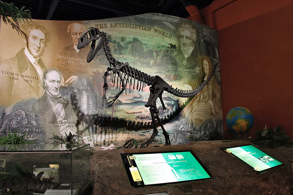 History of dinosaur plaeontology