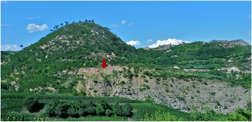 Tiaojishan Formation