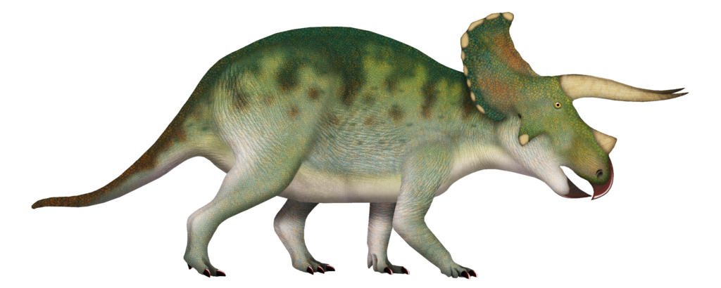 Triceratops horridus