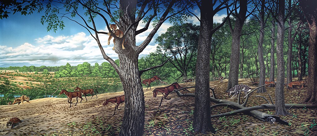 Turtle Cove mural - Roger Witter