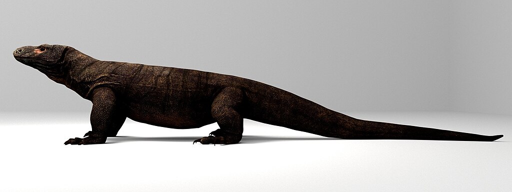 Varanus priscus, better known as Megalania, stretched up to 23 feet long—an Aussie apex predator that kept the spirit of dinosaurian giants alive long after their reign ended! 