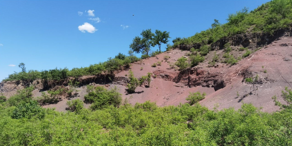 Yixian Formation