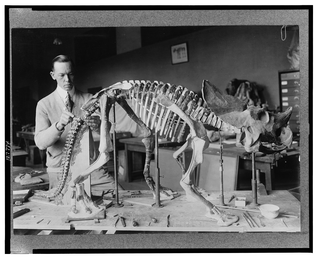 Norman Ross of the division of Paleontology