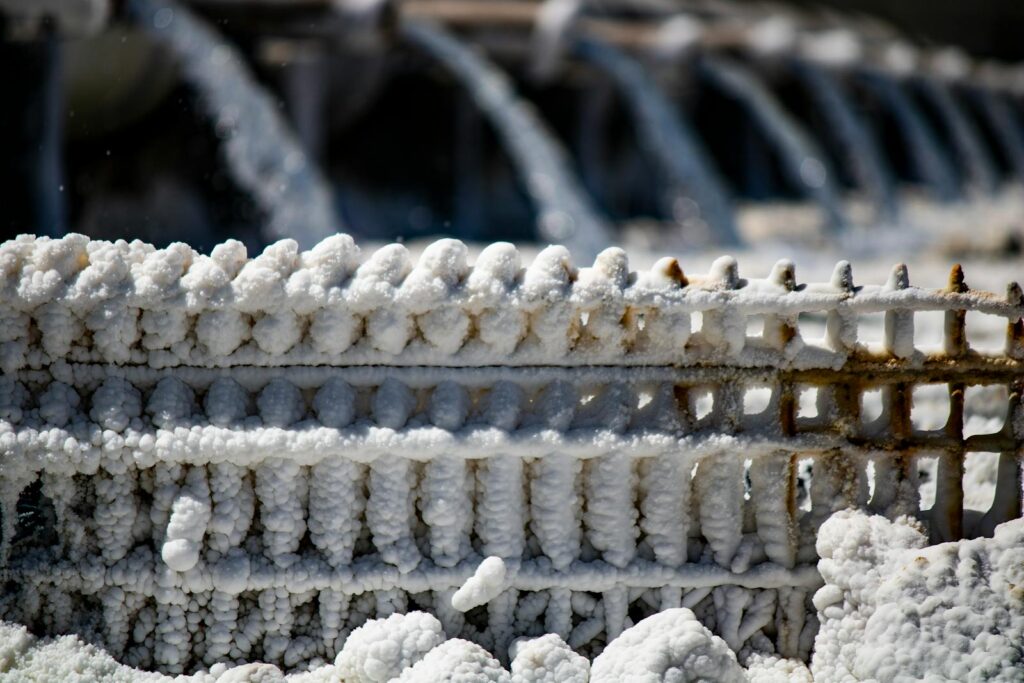 Permineralization