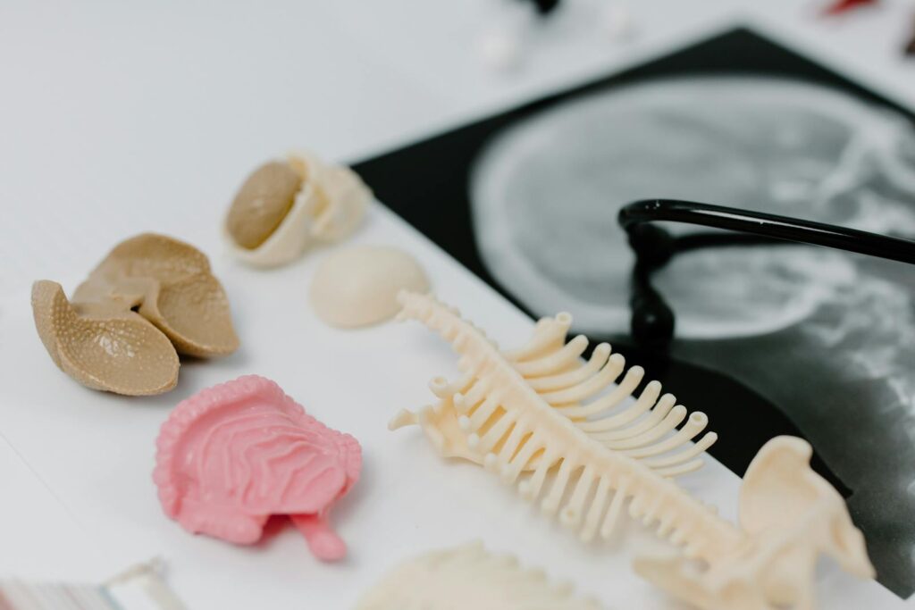 The Structure of Hollow Bones