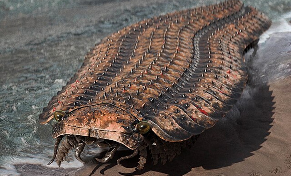 The Terrestrial Giant