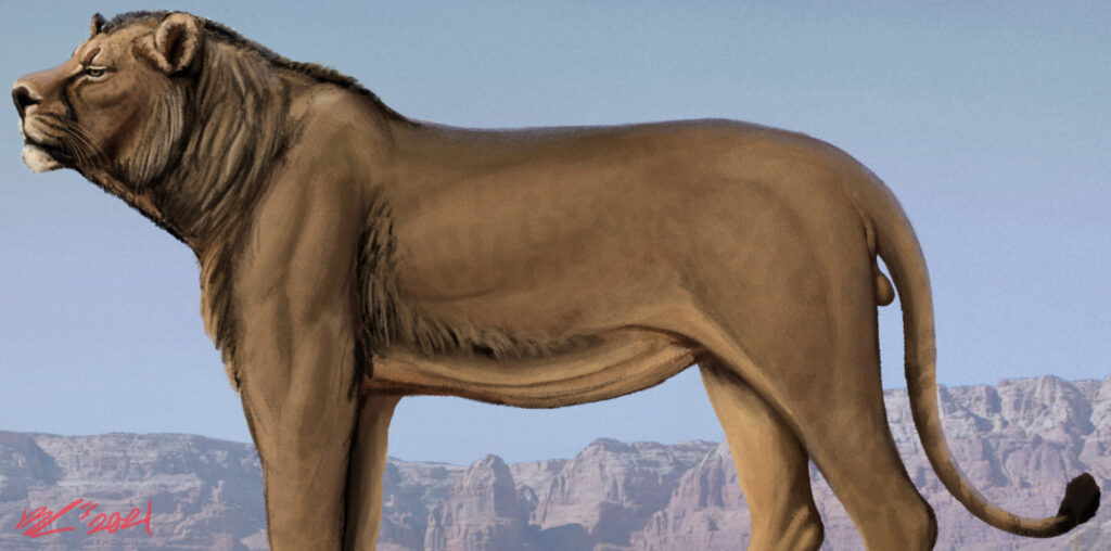 Artistic depiction of a saber-toothed lion standing against a backdrop of desert rock formations. The animal's profile shows its muscular build and prominent fangs.