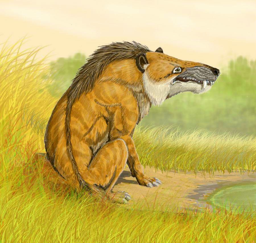 Illustration of a prehistoric mammal resembling a saber-toothed tiger sitting in tall grass, gazing at a small pond, with a serene sunset backdrop.