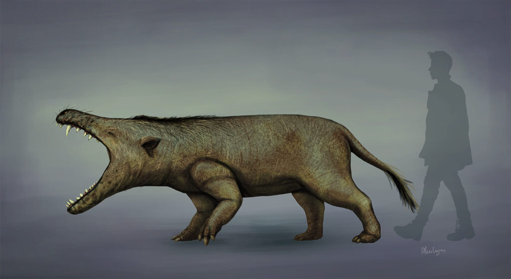 Illustration of a large, prehistoric mammal with sharp teeth and rough brown skin, roaring. A person’s silhouette stands nearby, showing its immense size.