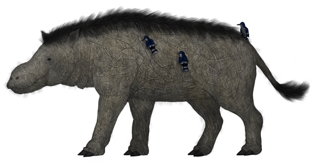 Illustration of a large, prehistoric mammal with dark, shaggy fur and a massive body. Three small blue birds perch on its back, adding contrast.