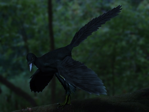 Archaeopteryx