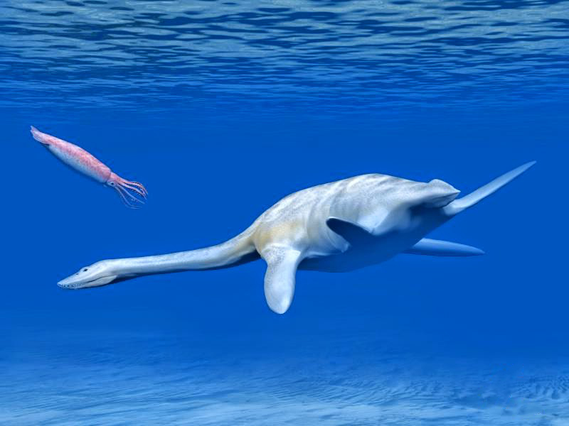 Life reconstruction of Aristonectes quiriquinensis