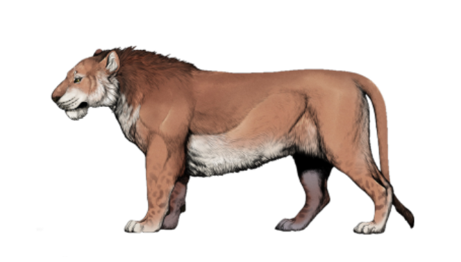Illustration of a saber-toothed tiger facing left. It has a muscular build, prominent fangs, and a thick mane, conveying strength and majesty.