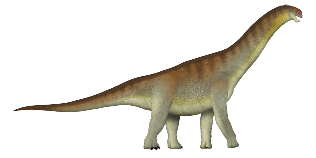 Illustration of a long-necked dinosaur with a brown and cream body, standing on four legs. It has a serene expression, conveying calmness.