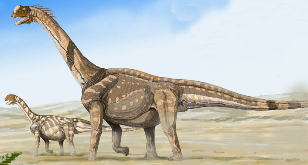 Illustration of two long-necked dinosaurs with brown, patterned skin on a sandy plain. The foreground dinosaur towers over the smaller one, set against a blue sky.