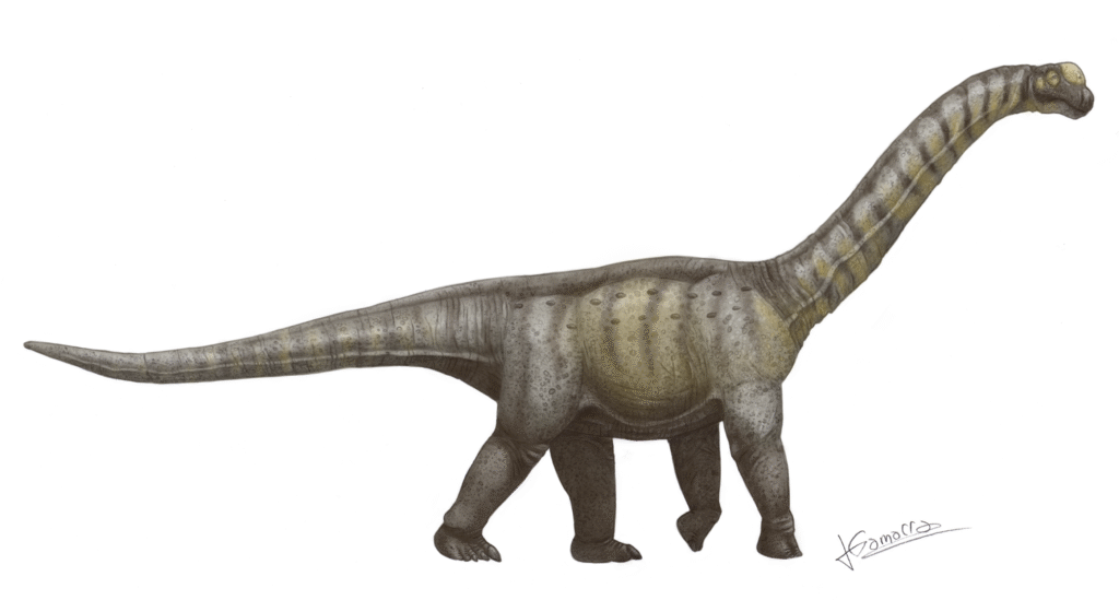 Illustration of a gray sauropod dinosaur with a long neck and tail, and a speckled texture, conveying a serene, prehistoric tone.