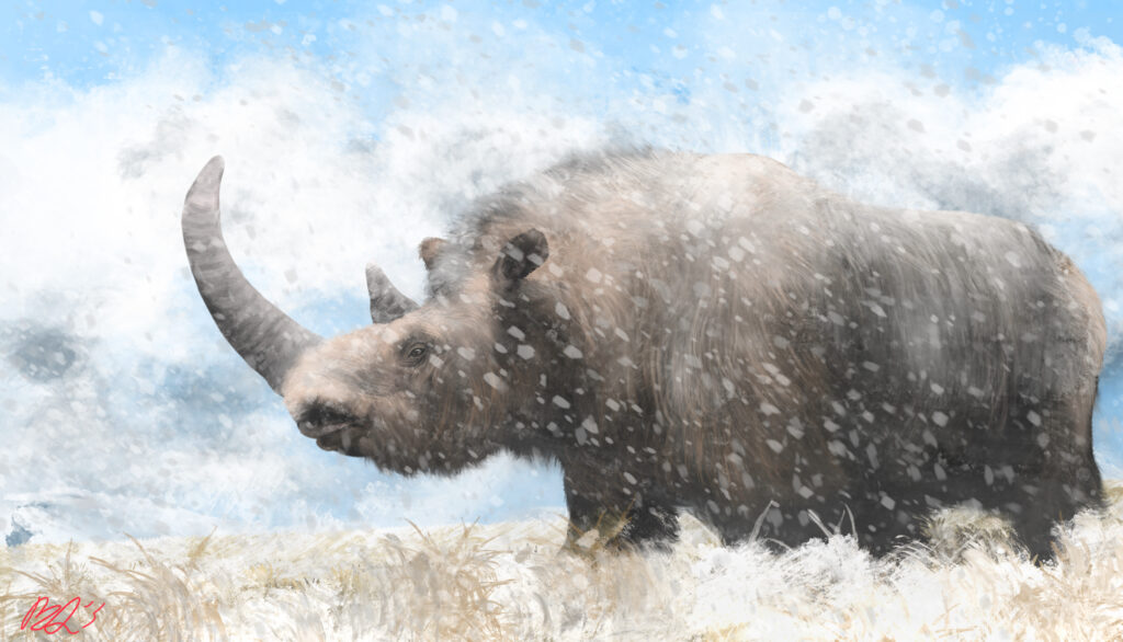 Illustration of a woolly rhino in a snowy landscape, with a blue sky and swirling snowflakes. The animal appears majestic and resilient.