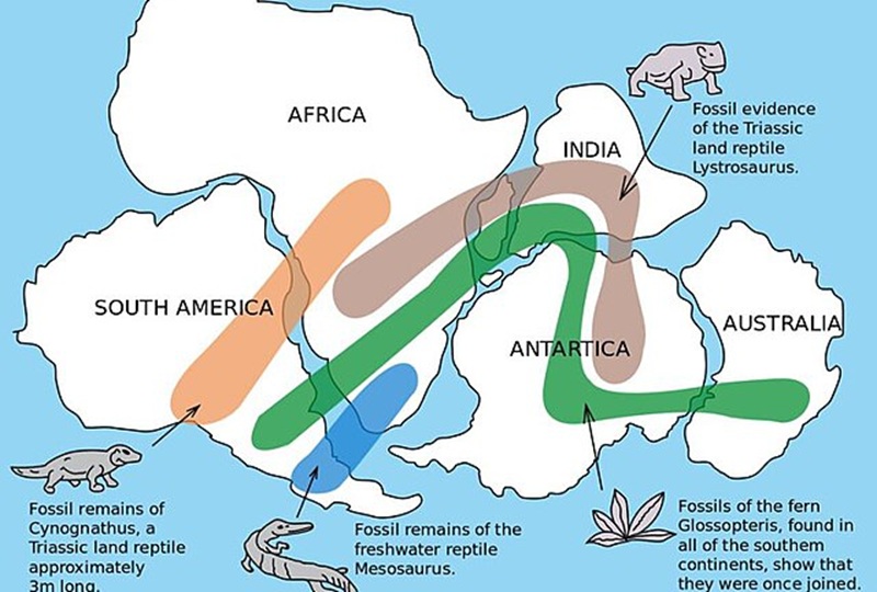 Continental Drift