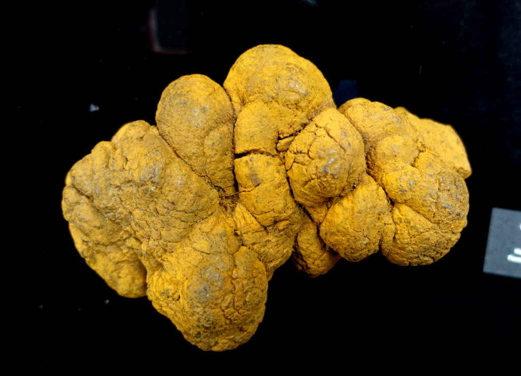 A large, rounded yellow-brown rock with a bumpy texture sits against a black background. The rock appears cracked and uneven, resembling a cluster of nodules.