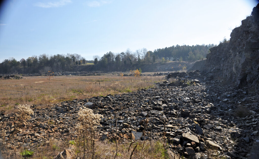 Rocky landscape with scattered shrubs and dry grass under a clear sky. A dense tree line appears in the distant horizon, evoking a serene, desolate feel.