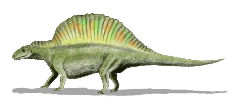 Ctenosauriscus BW